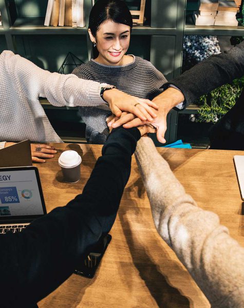 theme-07-475x600 Logo Bordro Plus